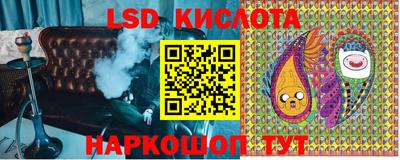 шишки Партизанск