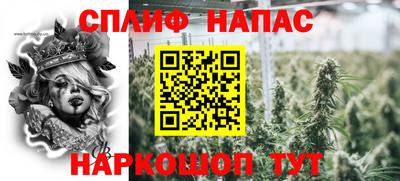 шишки Партизанск