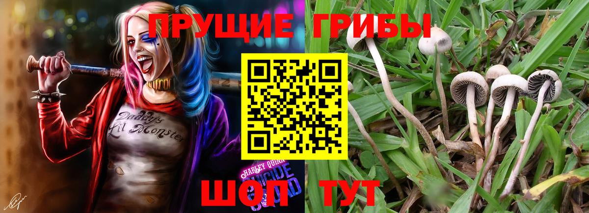 Туймазы  Псилоцибиновые грибы ЛСД  Вход с VPN 