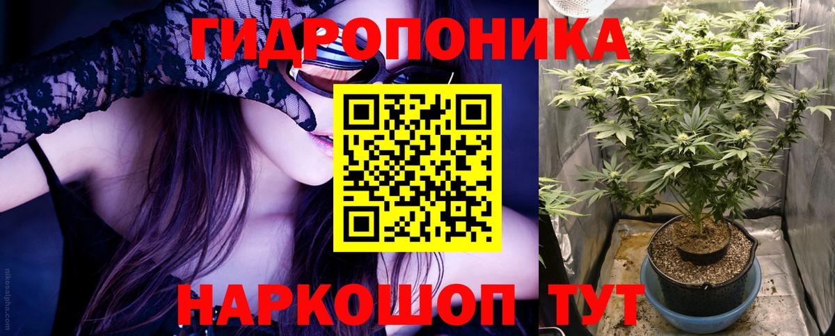Конопля ГИДРОПОН  Канабис план  Бошки марихуана ГИДРОПОН  Туймазы  Вход с VPN 